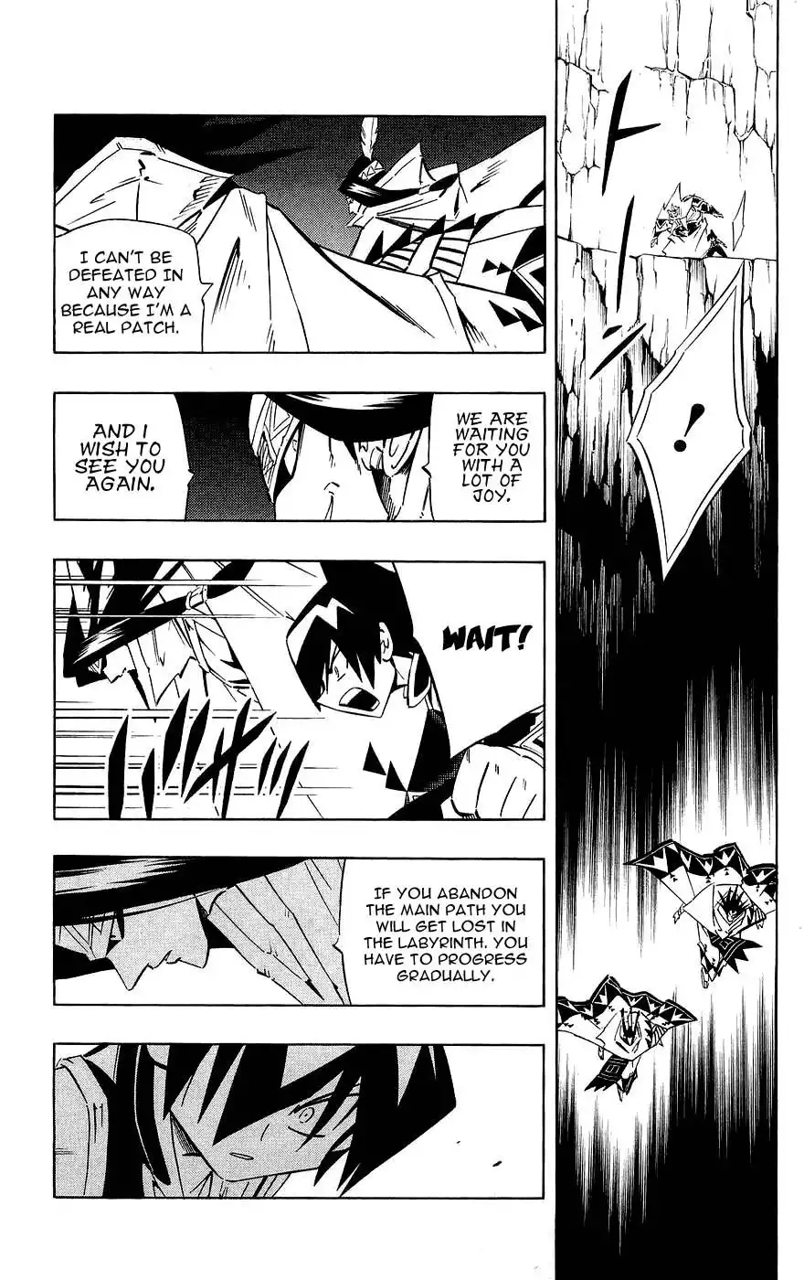 Shaman King Chapter 266 17